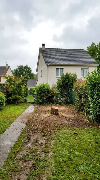 Abattage d’arbre