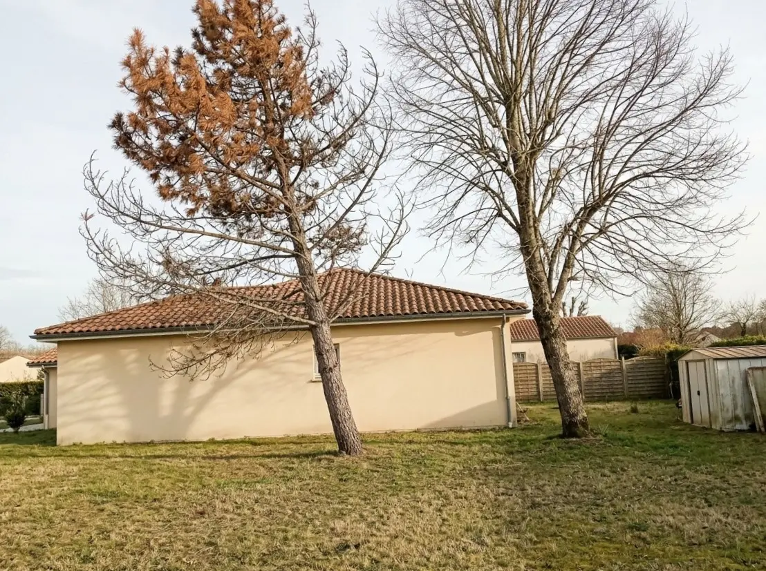 Avant : arbre mort près d'une maison