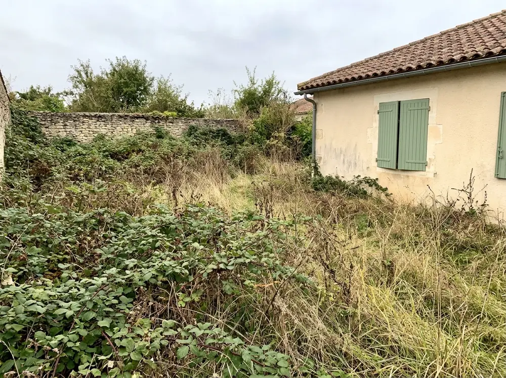 Avant : terrain envahi de ronces et d'herbes hautes