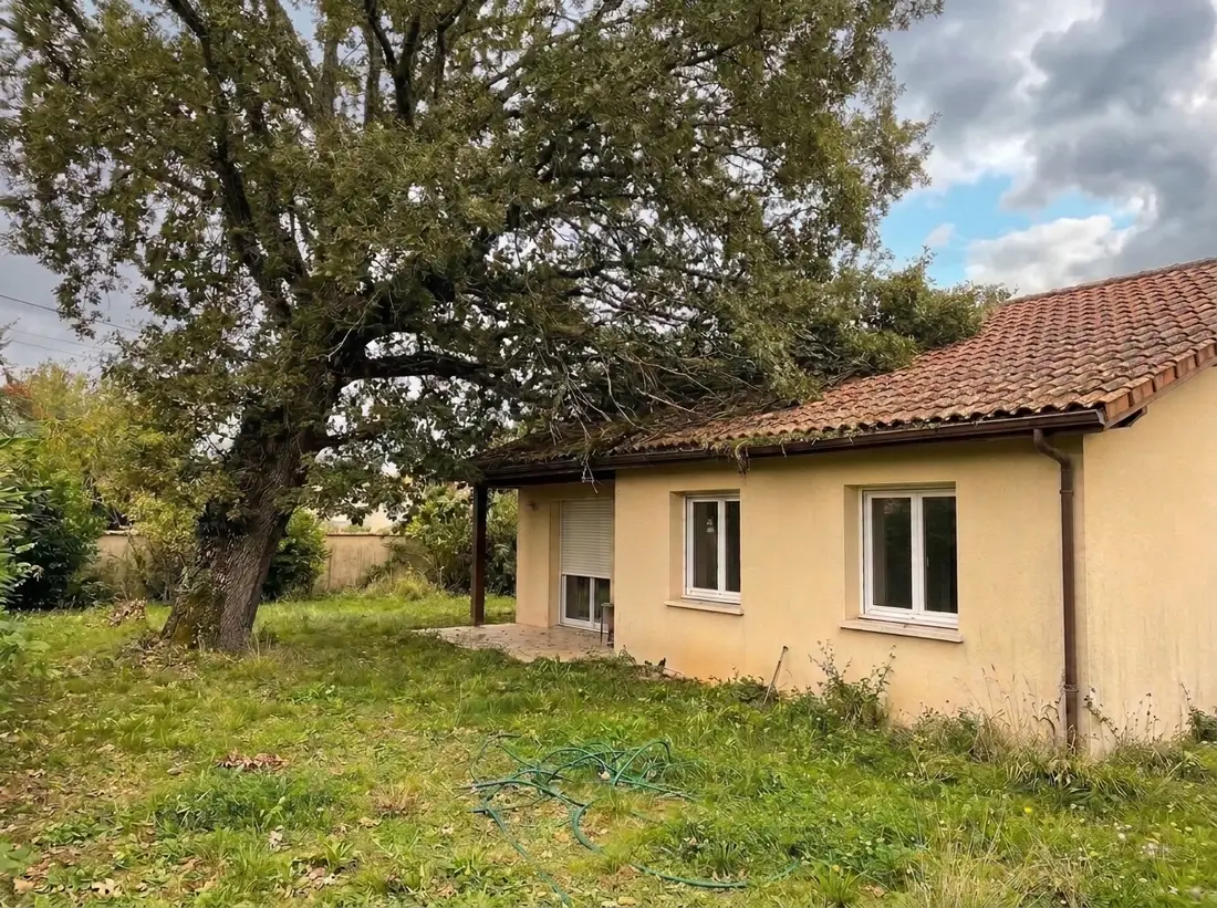 Avant : arbre dont les branches touchent la toiture